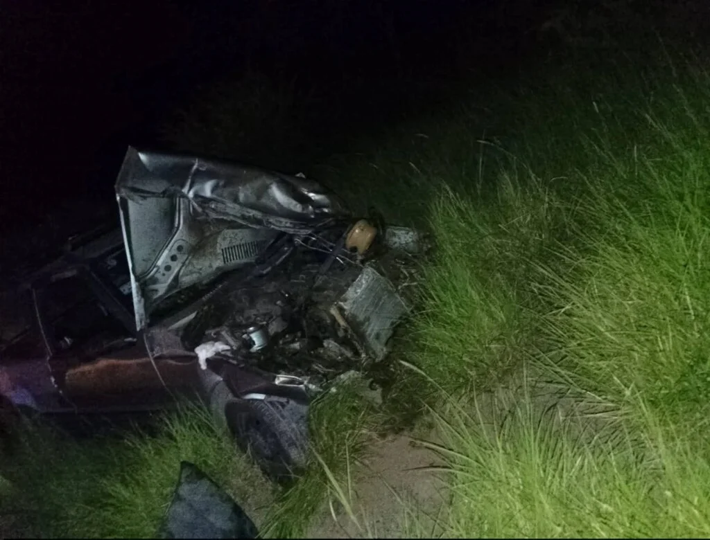 Accidente en Ruta 38: animales sueltos generan peligro para conductores en Chañar