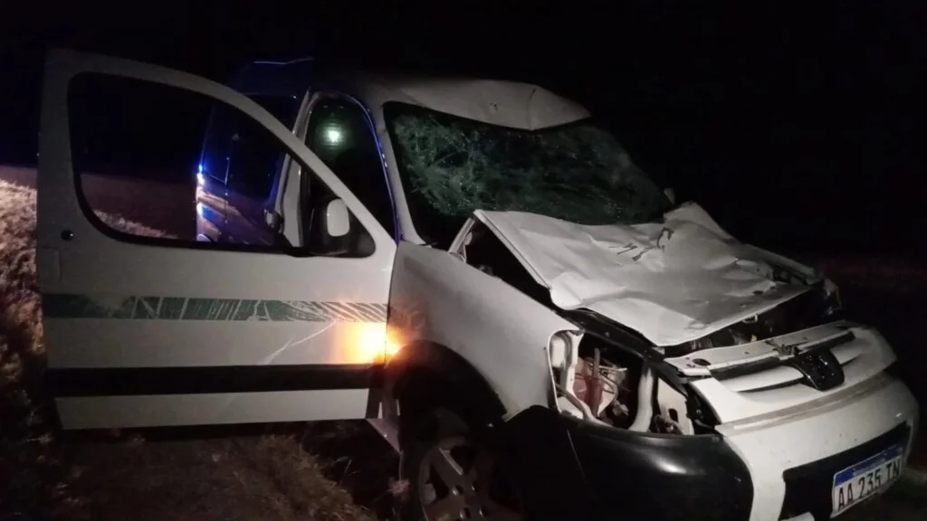 Accidente en Ruta 75: camioneta impacta contra un caballo y genera caos en Sanagasta