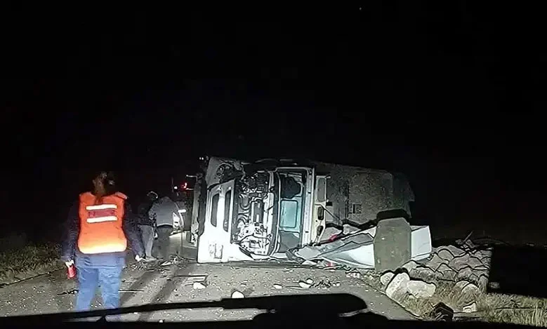 Accidente en Ruta N° 29: camión vuelca tras colisión con ganado, conductor sin lesiones