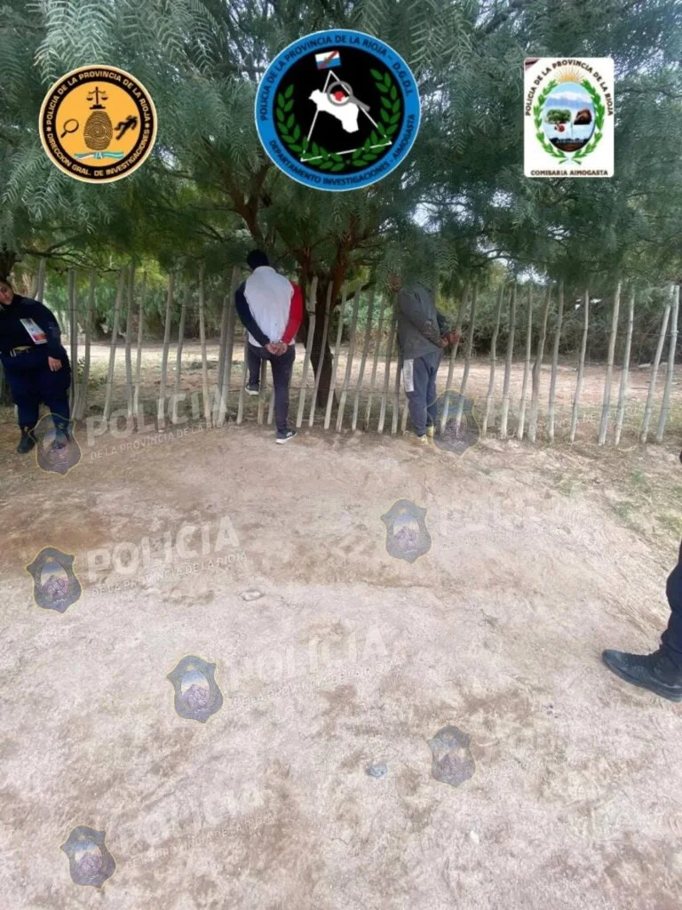 Aimogasta recupera tranquilidad tras la detención de ladrones de aceitunas
