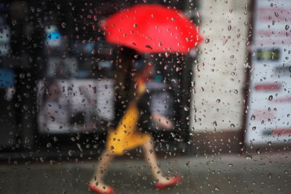 Alerta amarilla por lluvias y niebla: precauciones necesarias en La Rioja este miércoles