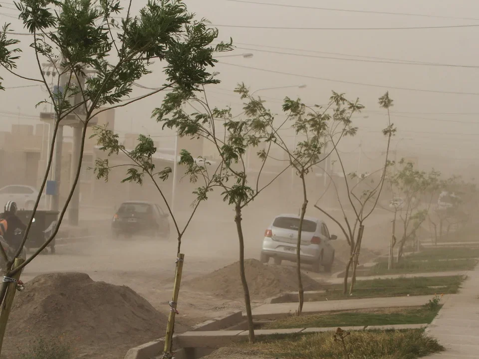 Alerta amarilla por vientos: precauciones para los vecinos de La Rioja