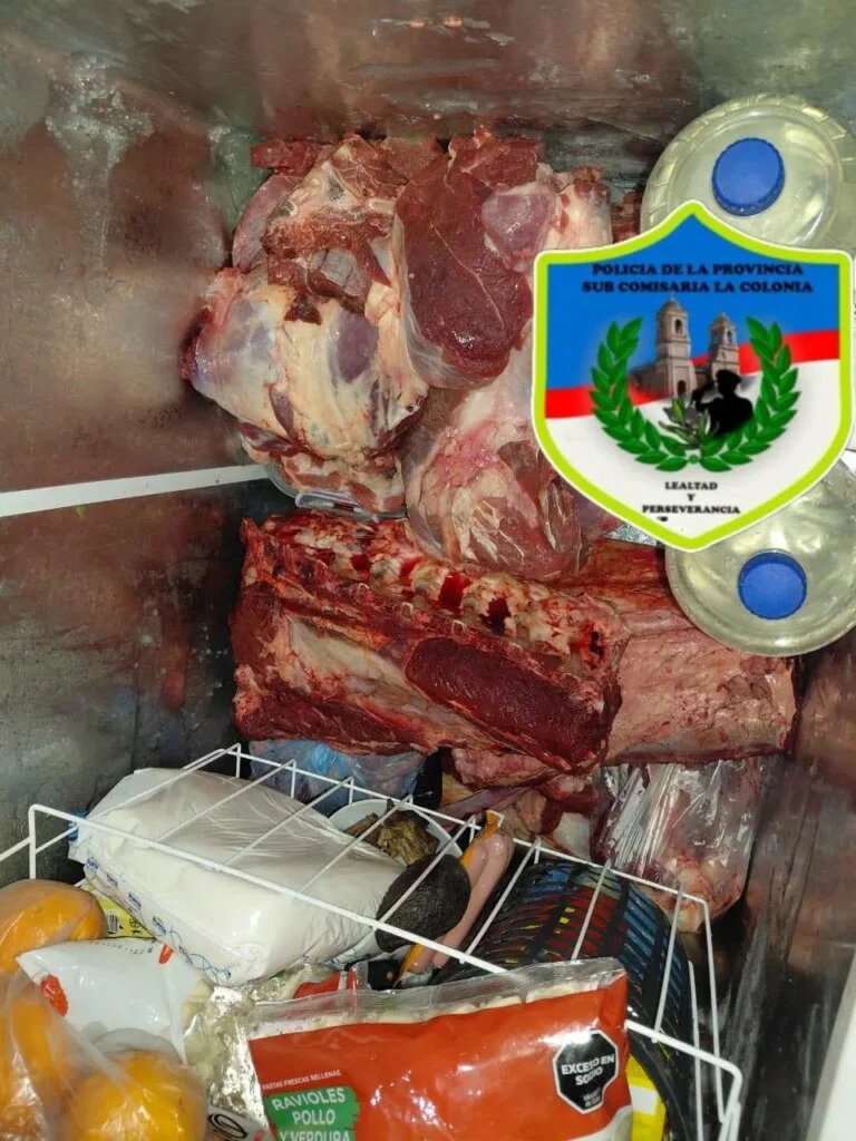 Allanamiento en El Quemado: un detenido y 58 kg de carne incautada por la policía