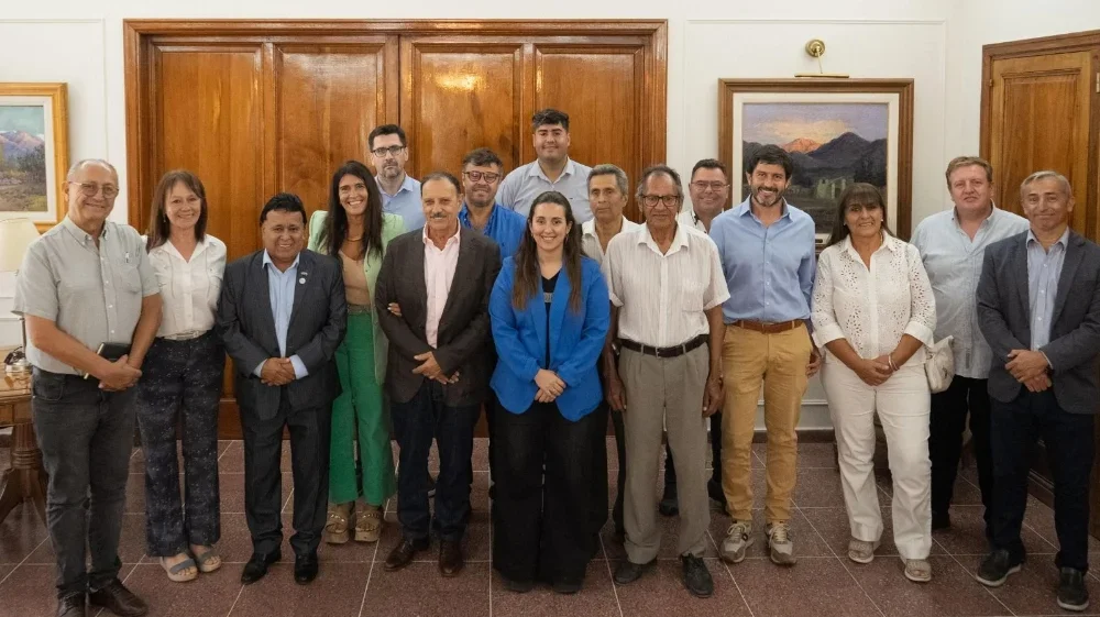 Arauco recibe un impulso: 350 millones en créditos para revitalizar la olivicultura