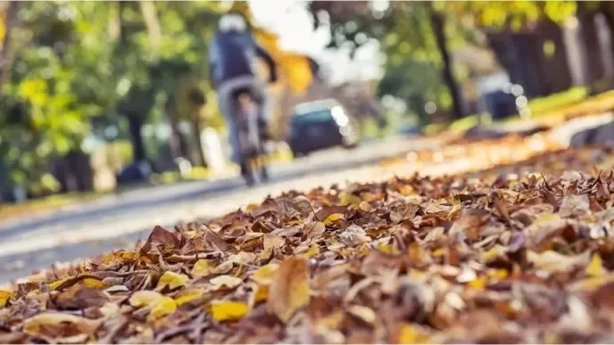 Aumento de temperaturas: un domingo de calor en La Rioja con máximas de 23 grados