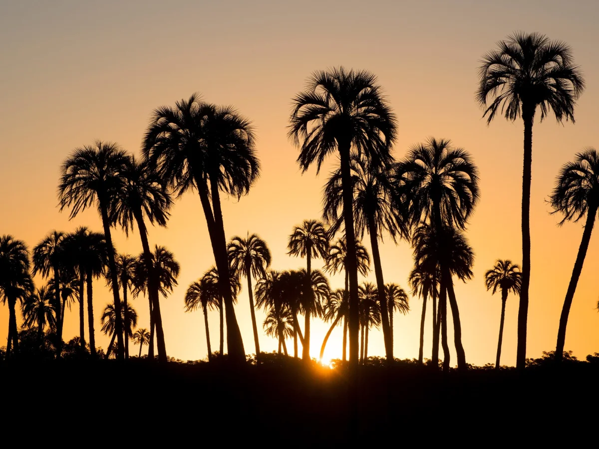 Aumento en el costo de entradas a Parques Nacionales: Talampaya y El Palmar impactan a turistas en vacaciones de invierno