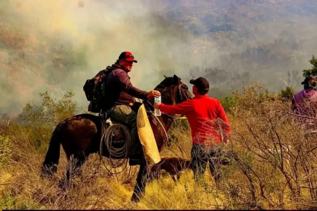 Baqueanos y vecinos se unen para apoyar a bomberos ante incendio en Guanchín