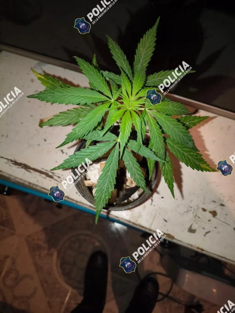 Barrio Nueva Esperanza bajo la lupa: dos detenidos y cannabis incautado en operativo