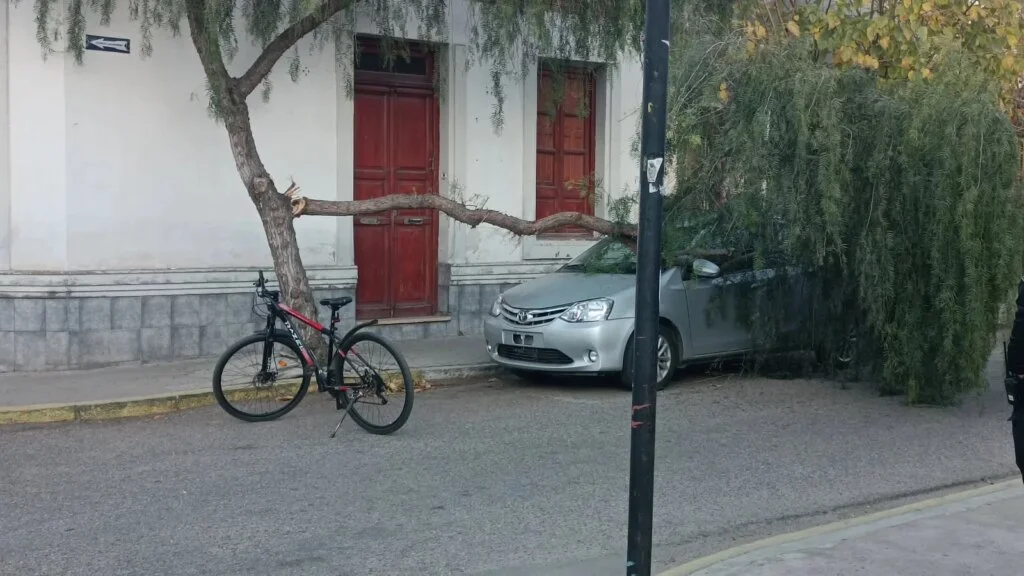 Cae una rama sobre un auto en el centro de La Rioja, afortunadamente sin heridos