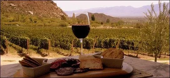 Caída del 18% en ventas de vino: un golpe duro para productores locales