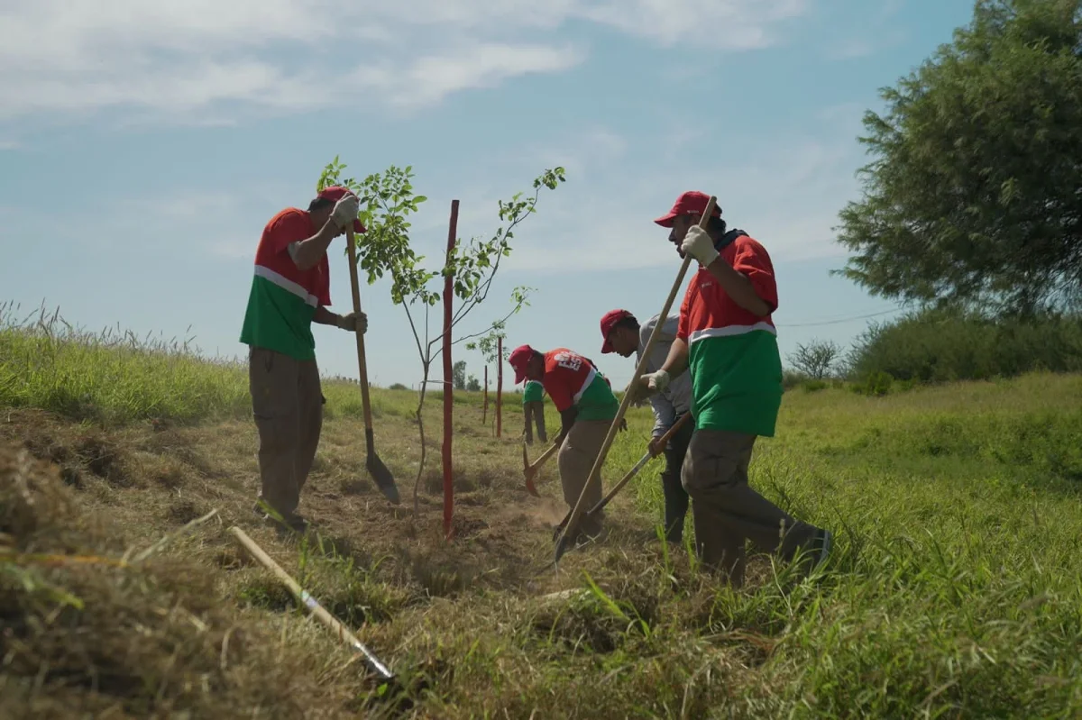 Capital avanza en políticas de forestación para conmemorar el Día del Árbol
