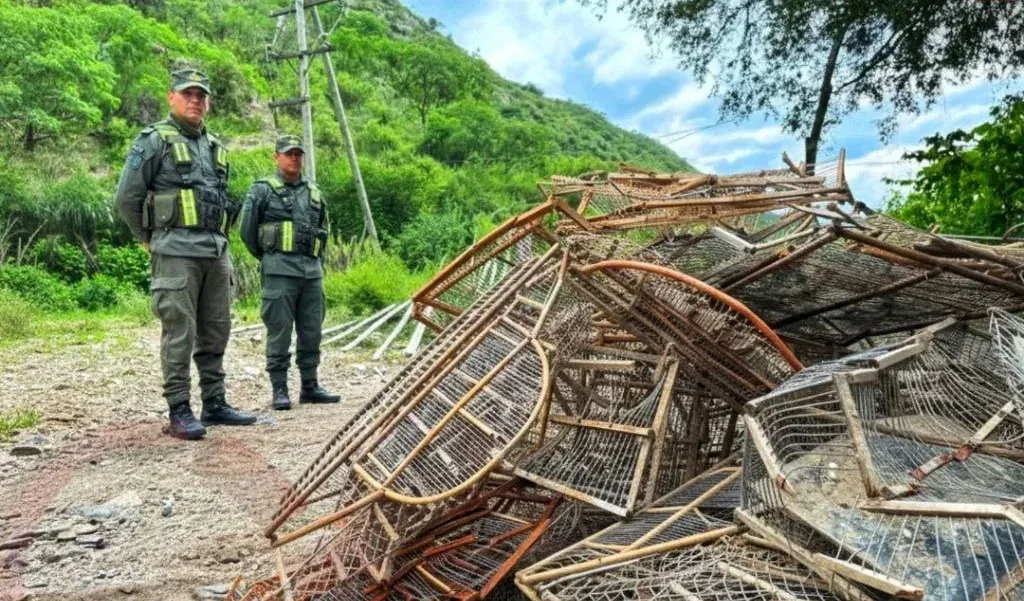 Chilecito celebra la recuperación de aves silvestres rescatadas del cautiverio