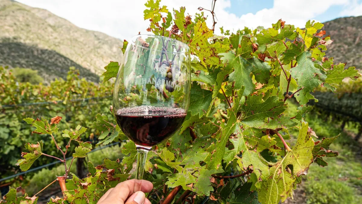 Chilecito se prepara para recibir las III Jornadas Nacionales de Turismo del Vino