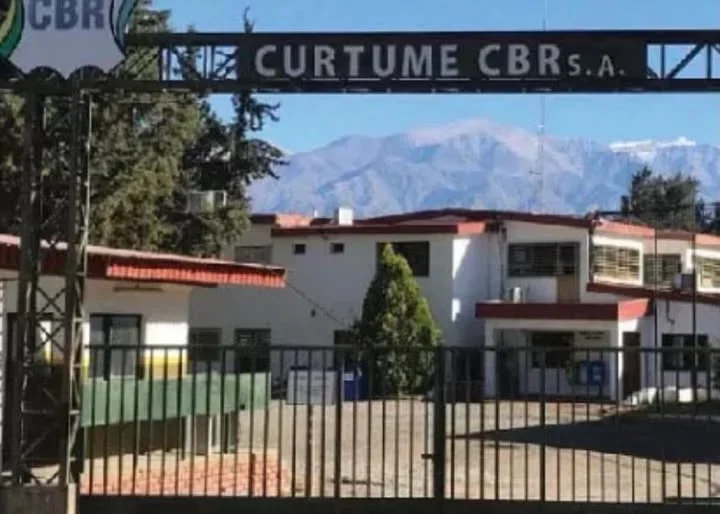 Cierre de una curtiembre en Chilecito: impacto en la industria y el empleo local