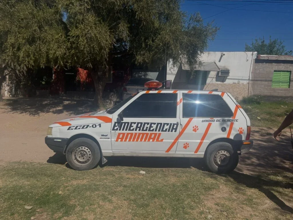 Colecta solidaria de Emergencia Animal La Rioja para rescates de mascotas en peligro