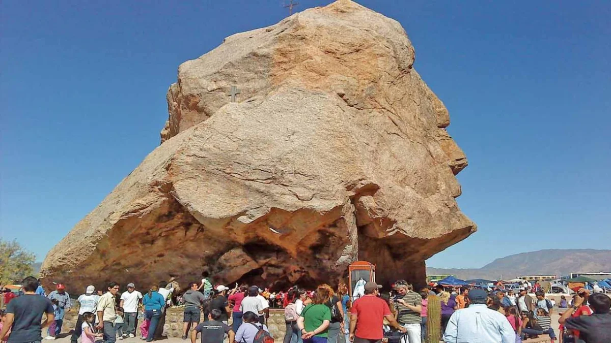 Delicias de La Rioja: descubre las rutas gastronómicas en los olivares de la provincia