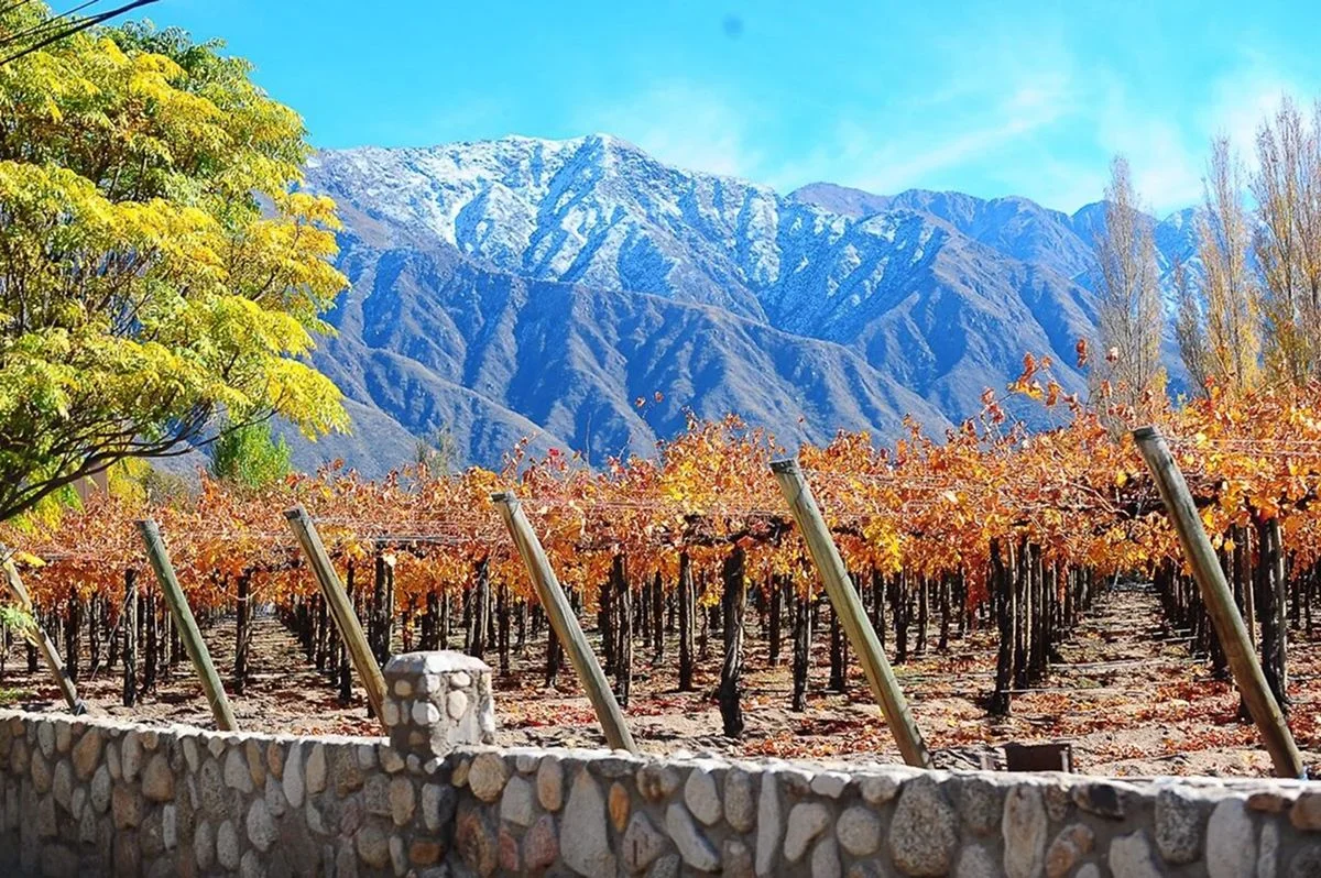 Descubre el encanto turístico de Famatina: acequias, bodegas y paisajes únicos