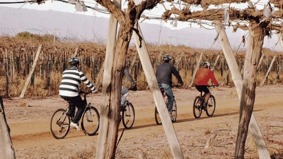 Descubre la Ruta del Vino en La Rioja: una experiencia sensorial única