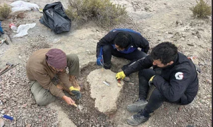 Descubren fósiles de arcosaurios que revelan secretos del pasado en Talampaya