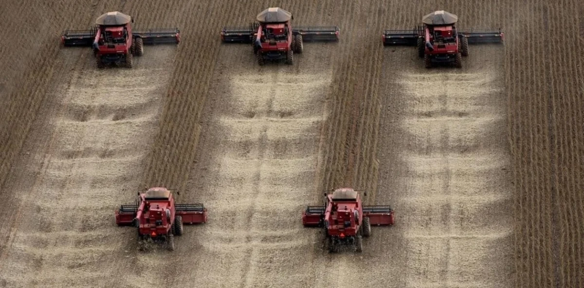 El agro argentino despierta interés: oportunidades para el desarrollo nacional