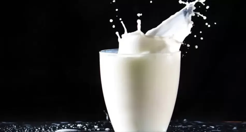 El cierre de tambos en Argentina: ¿qué pasará con la producción lechera?