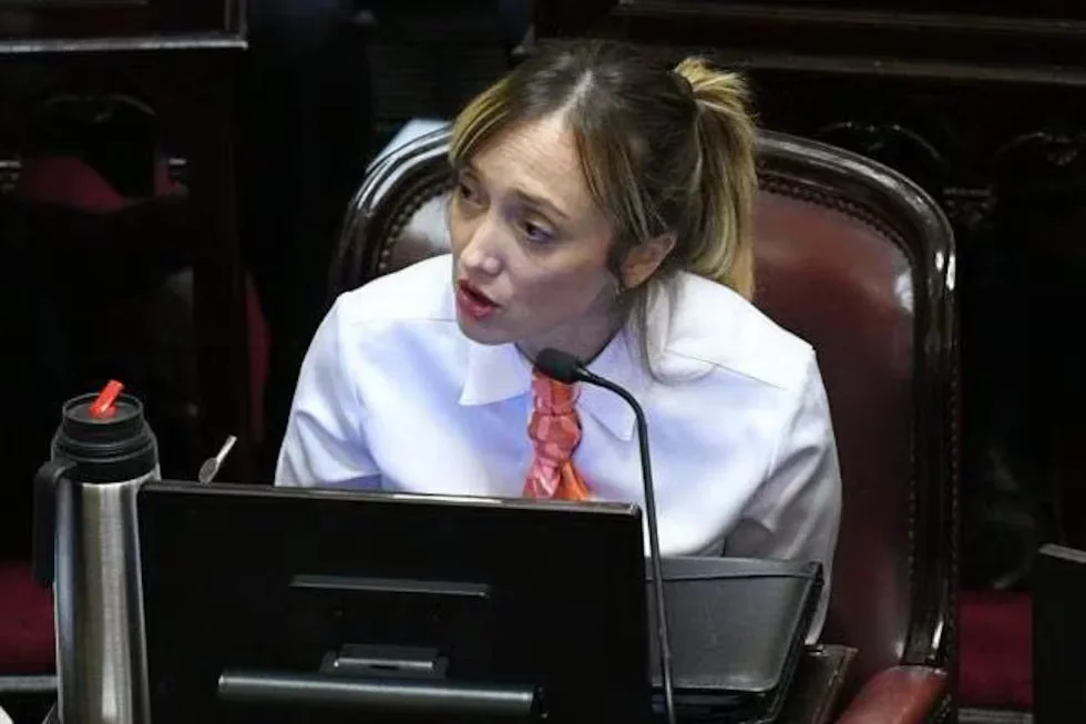 Fernández Sagasti podrá votar de manera virtual por su estado de embarazo