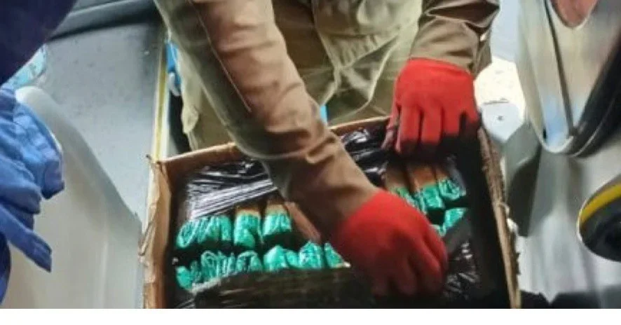 Gendarmería intercepta tráfico de hojas de coca y fauna en Talamuyuna