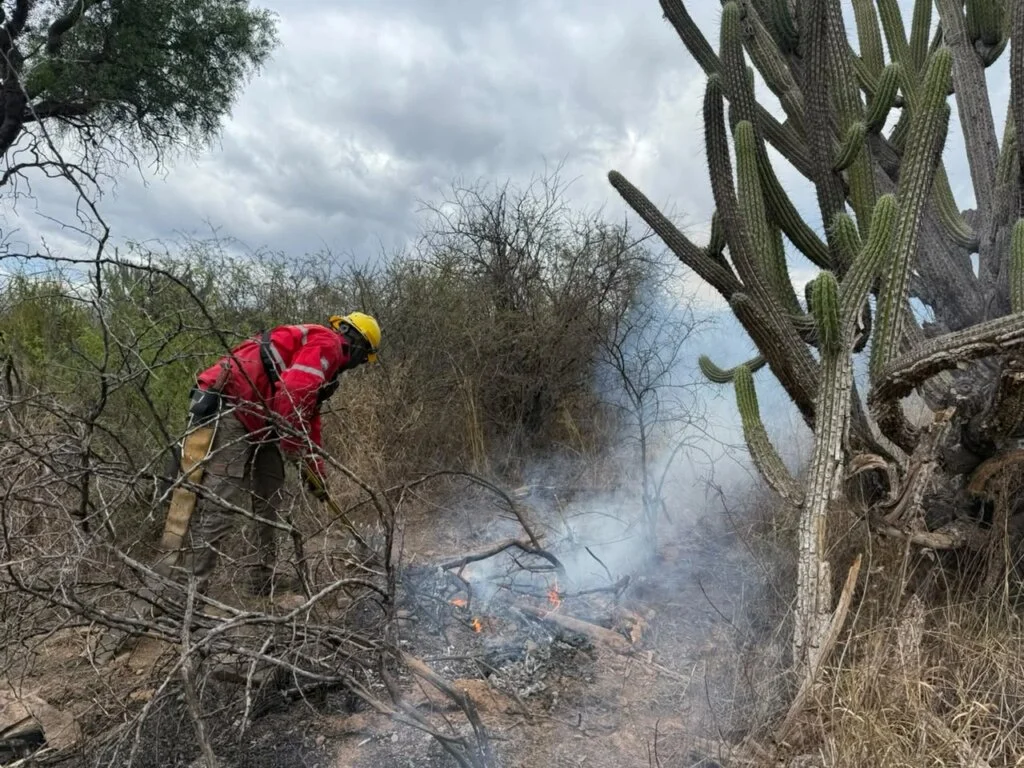 Incendio arrasa con 6 hectáreas en Las Talas y afecta a la flora local