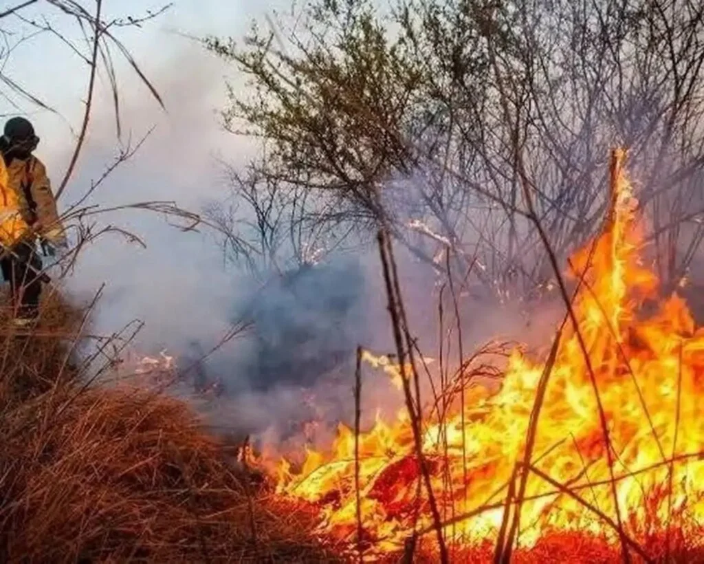 Incendio en Chilecito: vecinos preocupados por el 30% aún activo del fuego