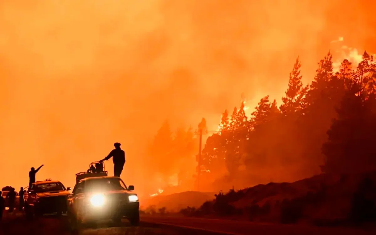 Incendios en Patagonia: el impacto en la conservación ambiental y la salud pública