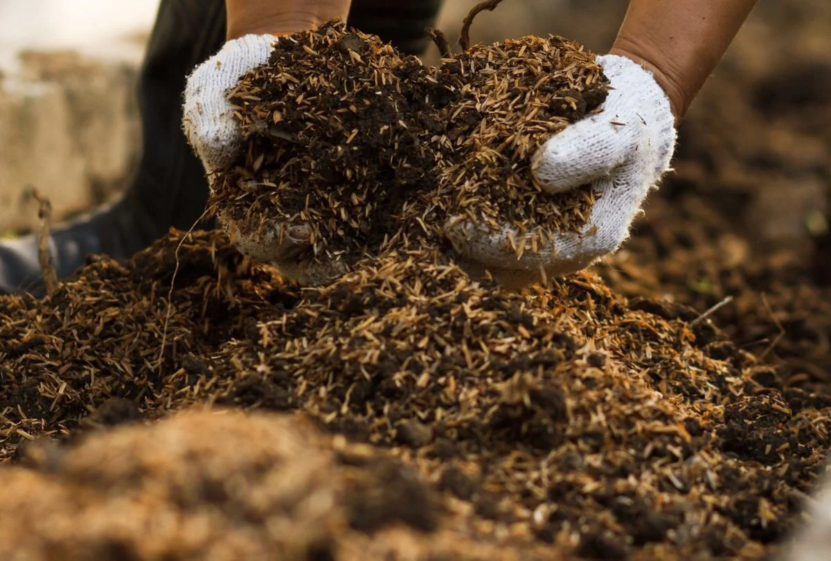 Innovaciones del INTA: cómo los sustratos mejoran el cultivo en Argentina
