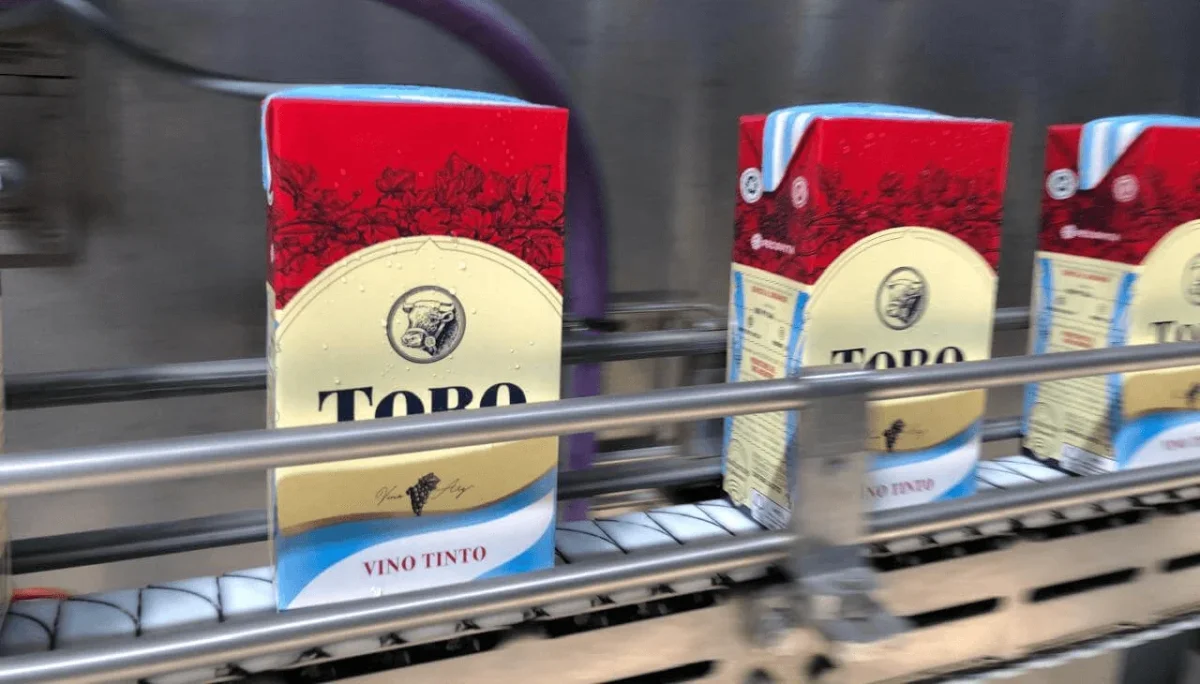 Juicio por falsificación de balances sacude a la industria vitivinícola en Argentina