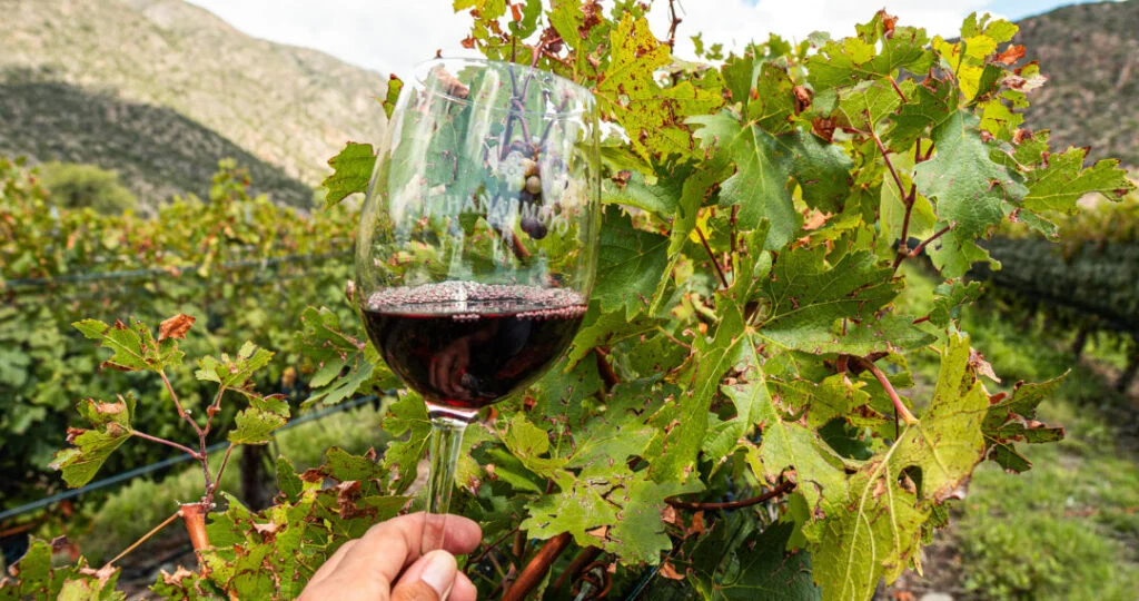 La derogación de norma del INV genera inquietud entre productores de vino en La Rioja