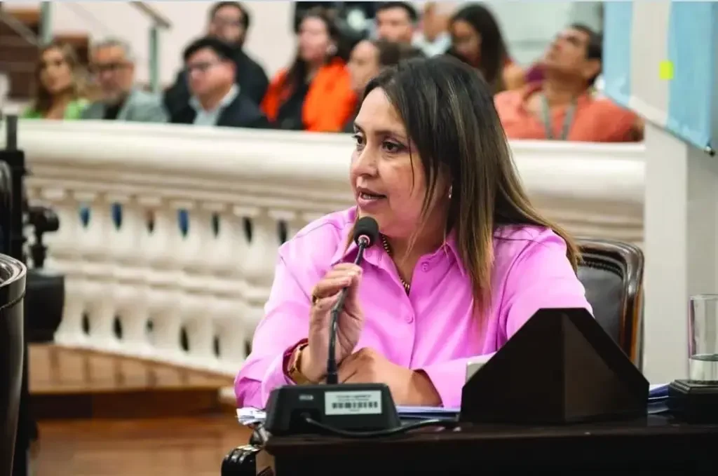 La Libertad Avanza impulsa Boleta Única Papel: ¿cambio en el sistema electoral riojano?