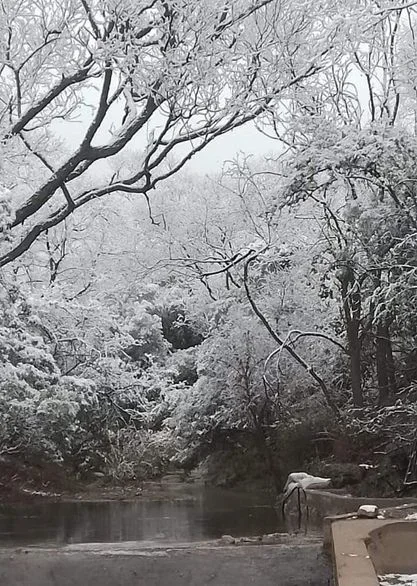 La llegada de la nieve transforma paisajes en La Rioja y atrae turistas