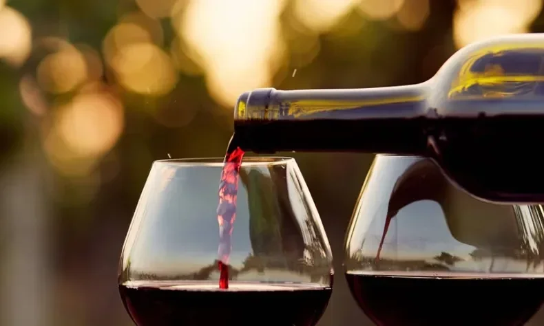 La Rioja celebra el Día del Vino con un recorrido por su innovación vitivinícola.