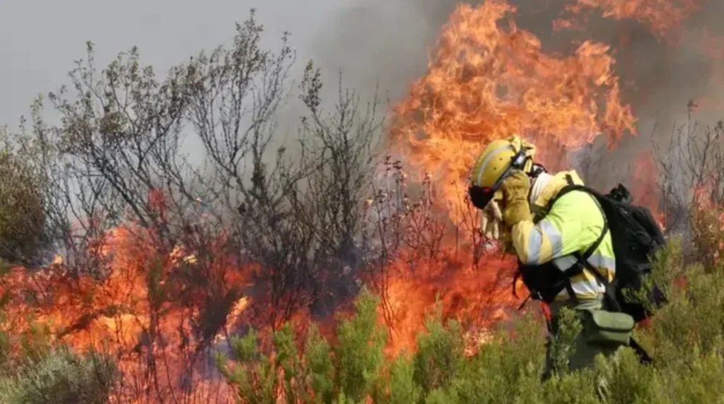 La Rioja en alerta: riesgo extremo de incendios forestales en todo el país