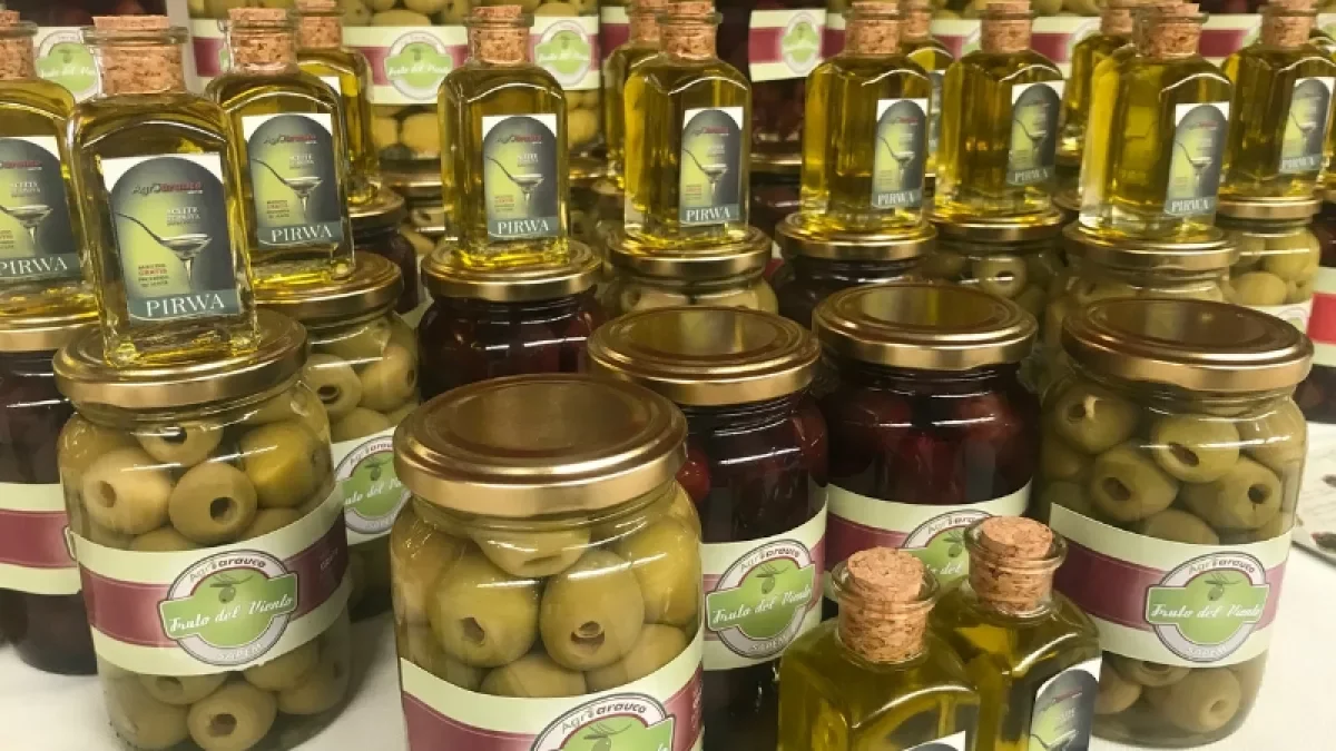 La Rioja se prepara para convertirse en un nuevo destino turístico con la Ruta del Olivo