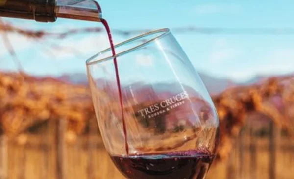 La Ruta del Vino Riojano: un nuevo impulso al turismo en La Rioja