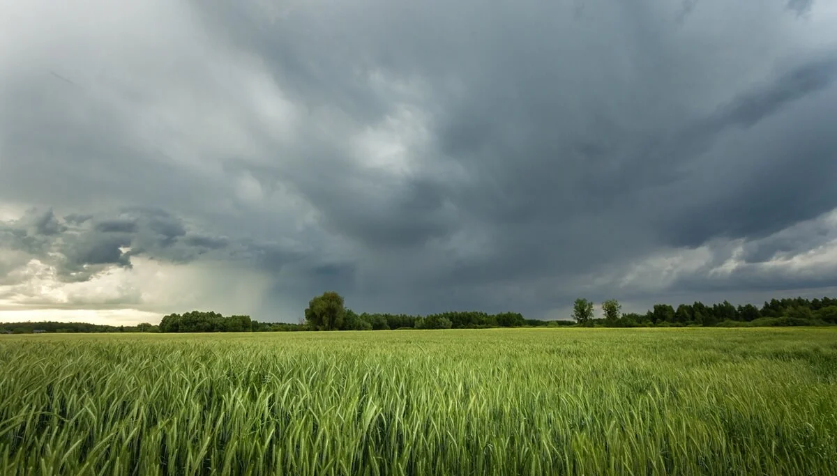 Lluvias leves pronosticadas para La Rioja: un alivio ante el calor extremo