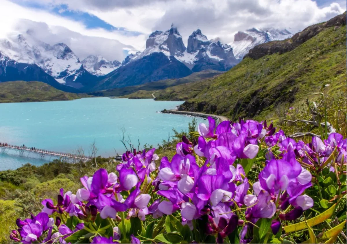 Los imperdibles parques nacionales de Sudamérica para esta primavera