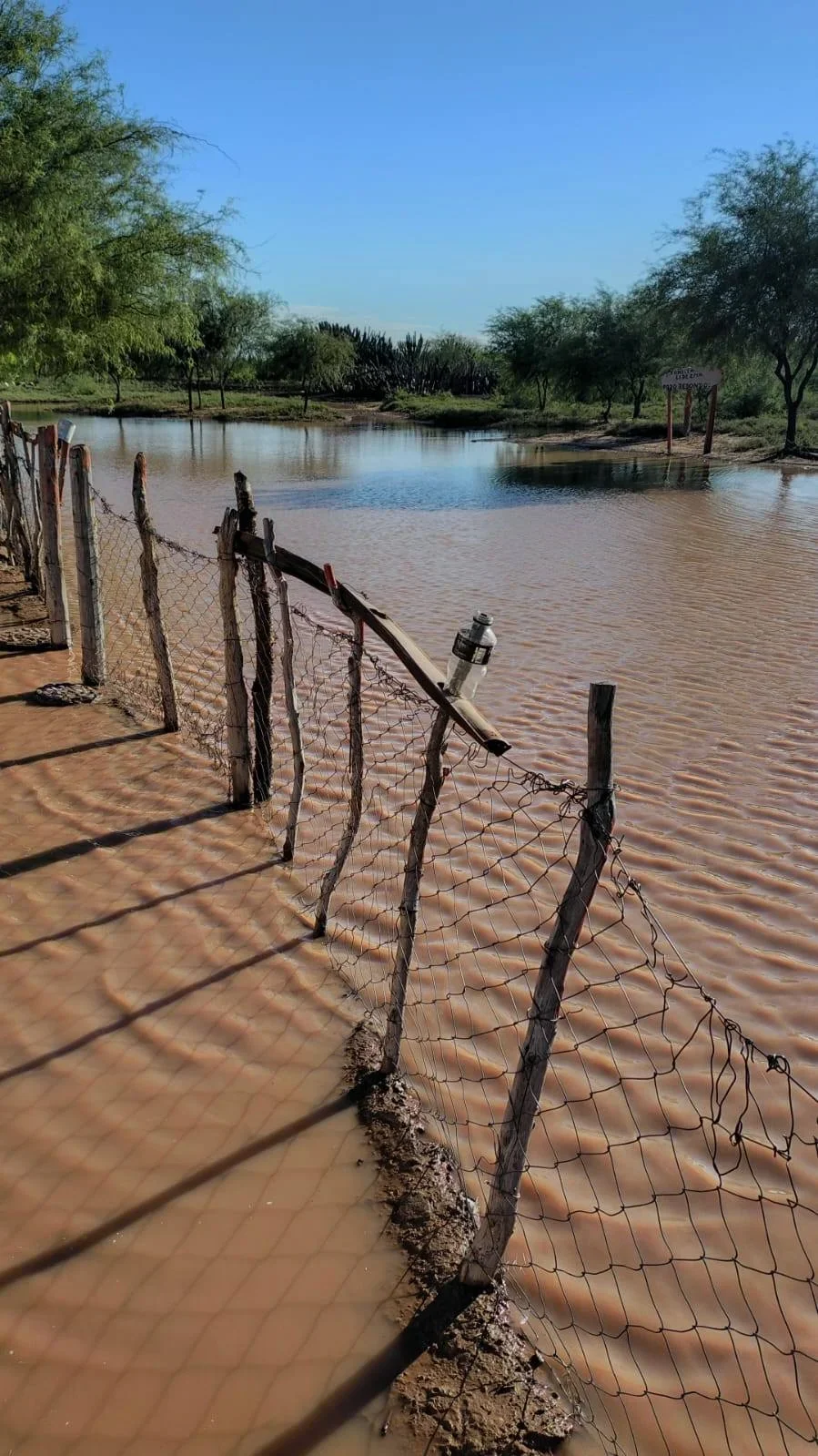 Los productores de Chamical enfrentan daños tras intensas lluvias rurales