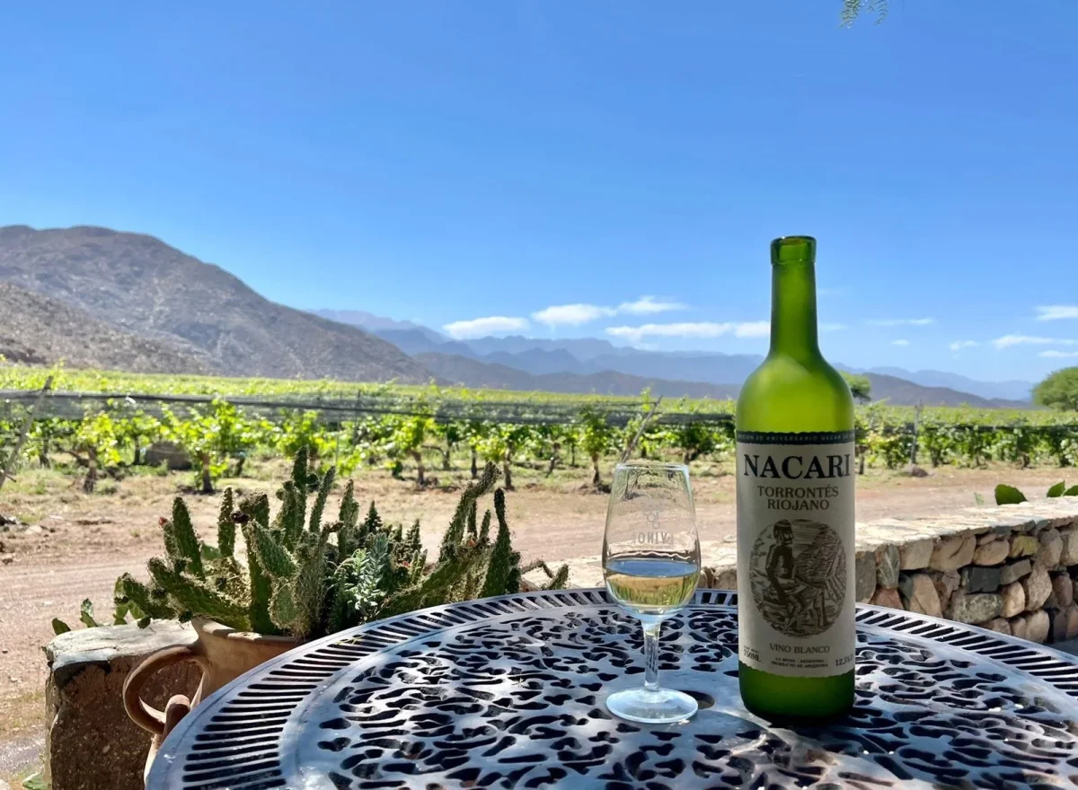 Nacarí esmerilado: el vino de La Rioja que transforma la historia vitivinícola argentina