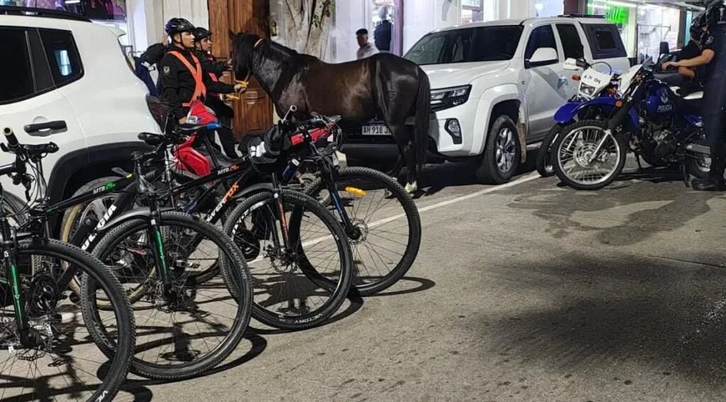 Operativo policial logra atrapar caballo suelto en plena avenida Rivadavia