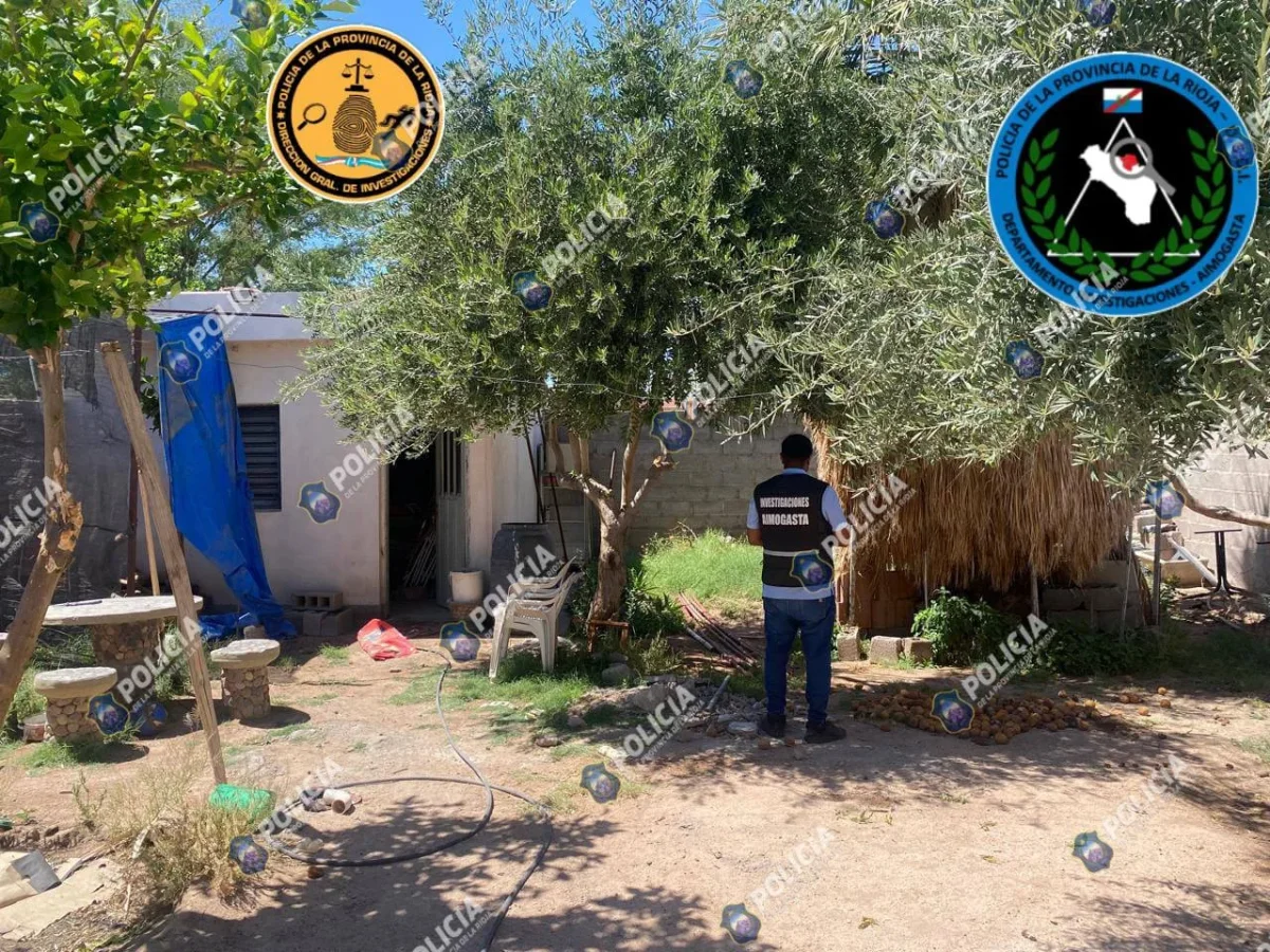 Policía de Aimogasta desmantela cultivo de Cannabis en importante operativo