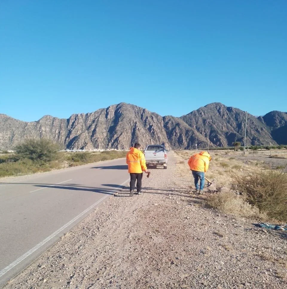 Progreso en el mantenimiento de rutas: mejora en la conectividad provincial