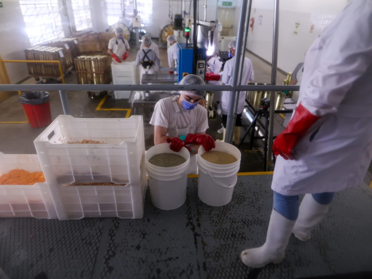 Proyecciones del Banco Mundial para la economía argentina: impacto en el futuro cercano