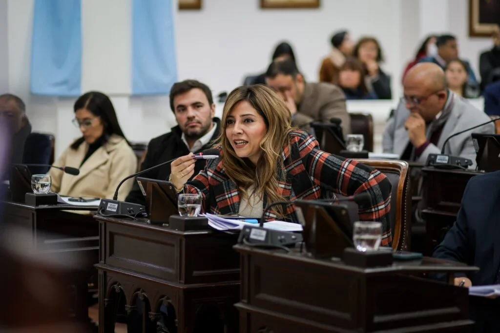 Proyecto de Lourdes Ortiz busca proteger a menores de abusos económicos