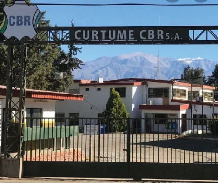 Quiebra de Curtume CBR S.A.: impacto en el empleo y la economía de Chilecito