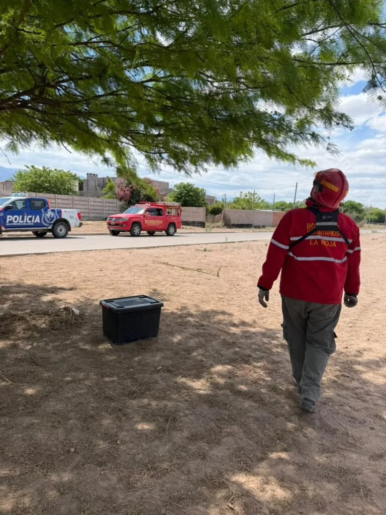 Rescate inusual: bomberos salvan a dos serpientes en calle de La Rioja